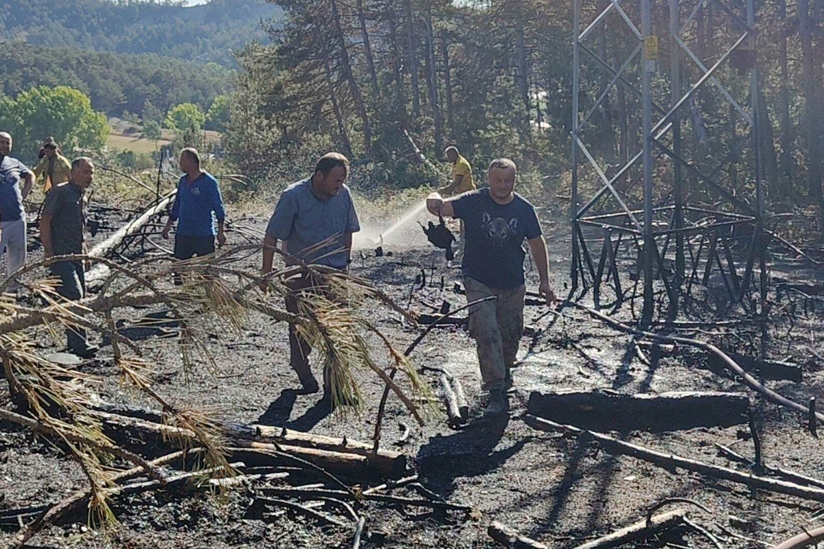 Bolu'da orman yangını