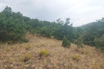 Isparta’da orman alanında kurulacak barit ocağı ÇED onayı