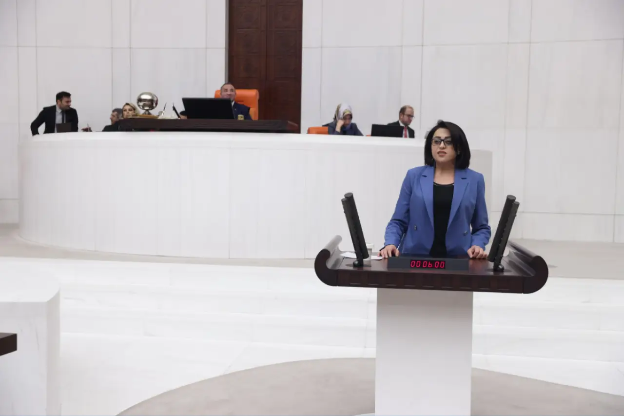 DEM Partili Bartin, hasta mahpus İzzethan Aykut'un tahliyesinin ertelenmesini Meclis gündemine taşıdı