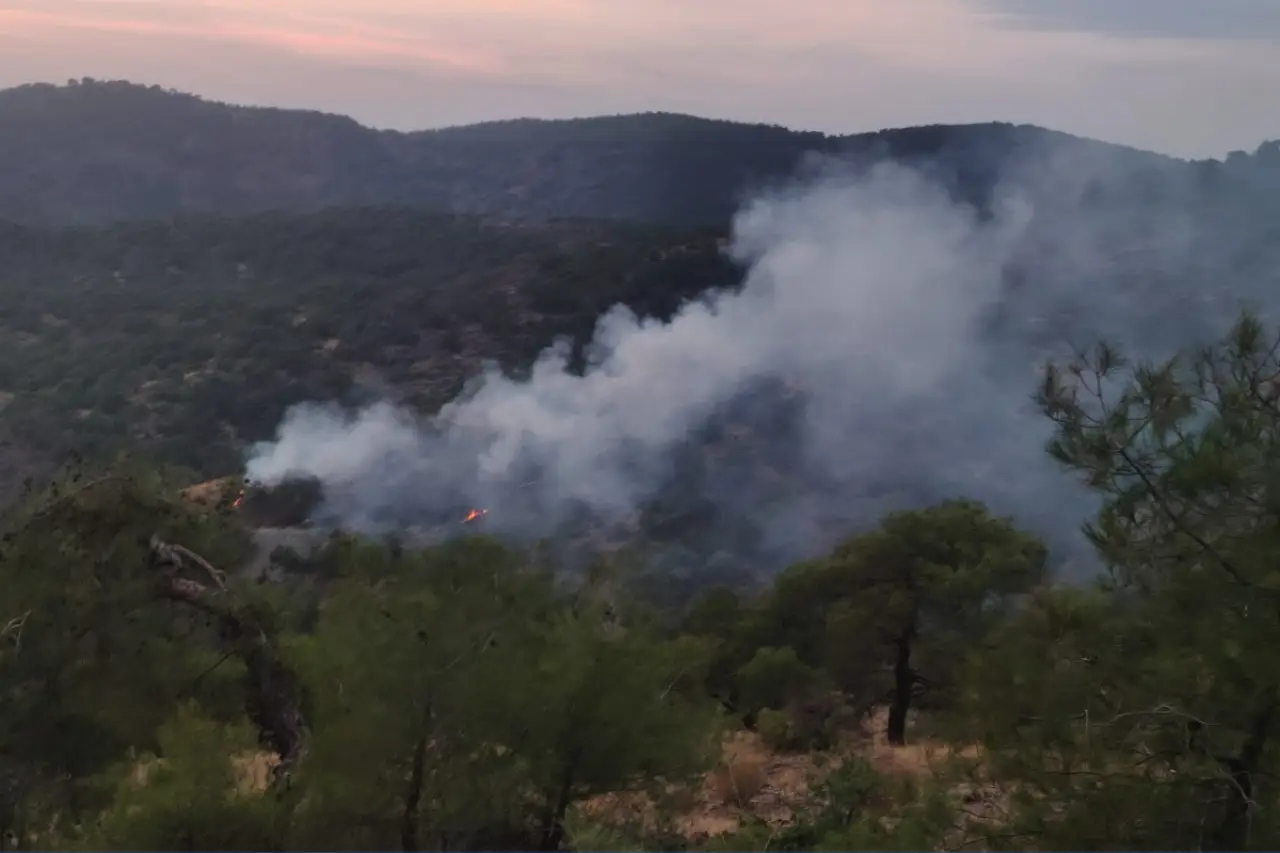 Antep’te orman yangını: 4 dönüm alan zarar gördü