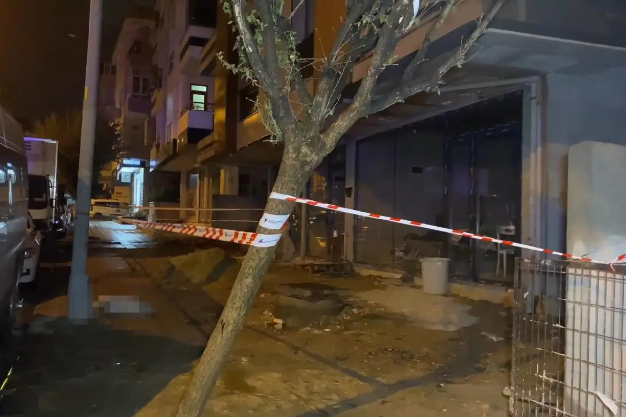Küçükçekmece'de okul yolunda ihmal: Elektrik akımına kapılan köpek öldü, onu kurtarmak isteyen kişi yaralandı