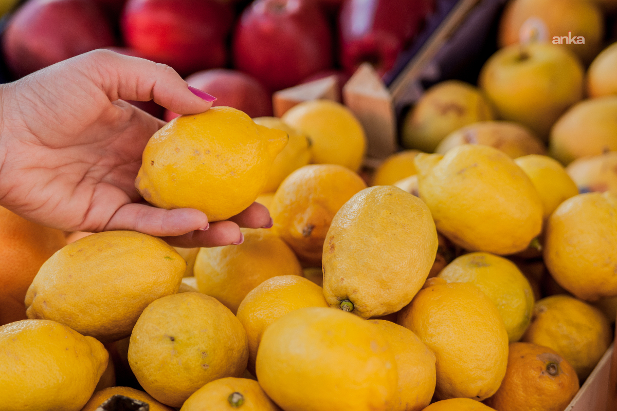 Limonda fiyat uçurumu: Tarlada 7, markette 51 lira