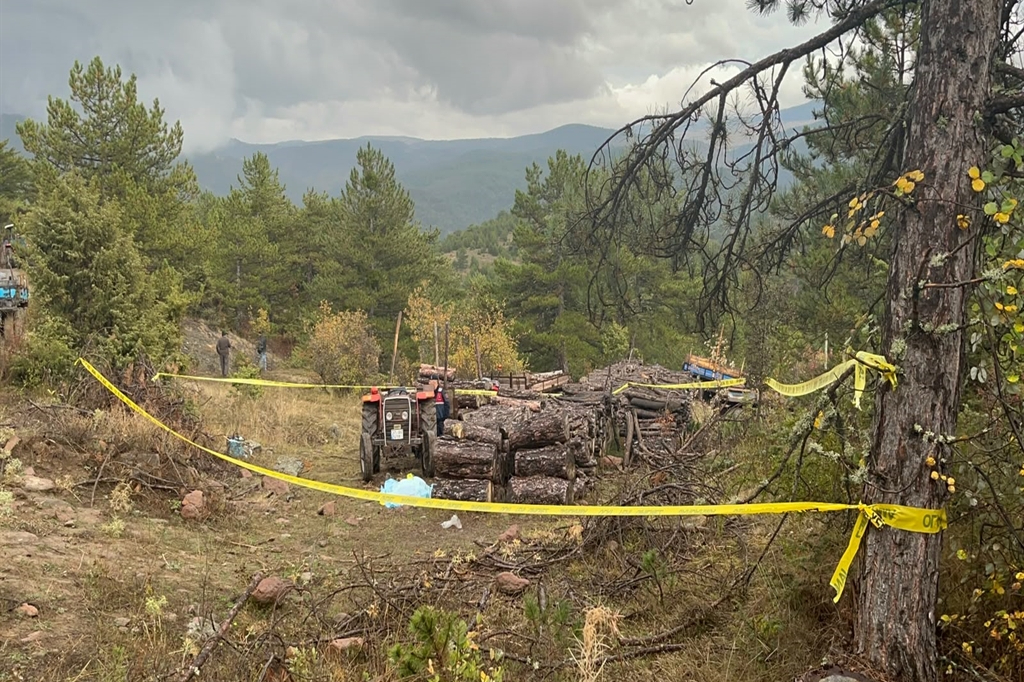 Kastamonu'da köy imamı başına odunla vurarak öldürüldü