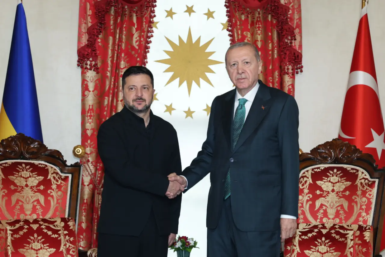 Erdoğan ile Zelenskiy Dolmabahçe'de görüştü