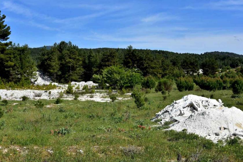 Muğla’da zeytinlik, orman, koruma altındaki araziler satılacak