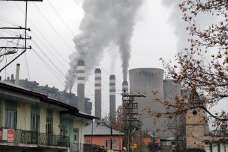 2019: Ekolojinin kara, umudun aydınlık yılı