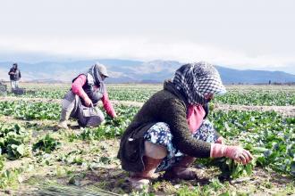 ‘Tarım işçilerine servis tahsis edilsin’