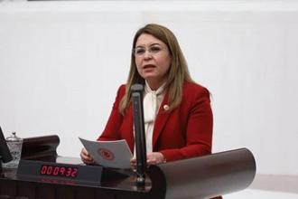 CHP'li Karaca: Hayvanları Koruma Yasası değil, Hayvan Hakları Yasası istiyoruz