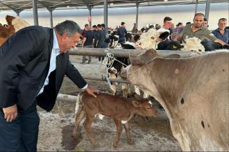 CHP Milletvekili Gürer: Emekli maaşına kurbanlık koç alınamıyor