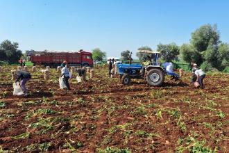 TÜİK: Tarımsal girdi fiyatları aylık yüzde 3,59 arttı