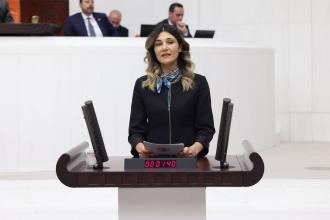 DEM Partili Nejla Demir’den, Ağrı’daki kadın cinayetleri ili ilgili soru önergesi   