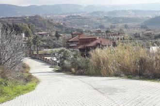 Hatay'da 2 mahalle kuduz nedeniyle karantina altına alındı