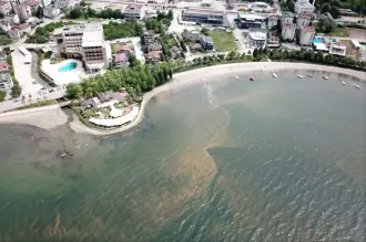 İzmit Körfezi'nde denizin rengi kahverengiye döndü