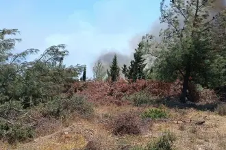 Çanakkale Eceabat'taki yangınında 2 orman işçisi yaralandı