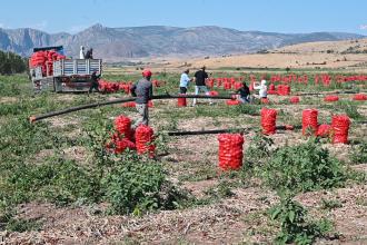 Çiftçinin borcu katlanıyor: Mart ayında 2937 tarla satışa çıkarıldı