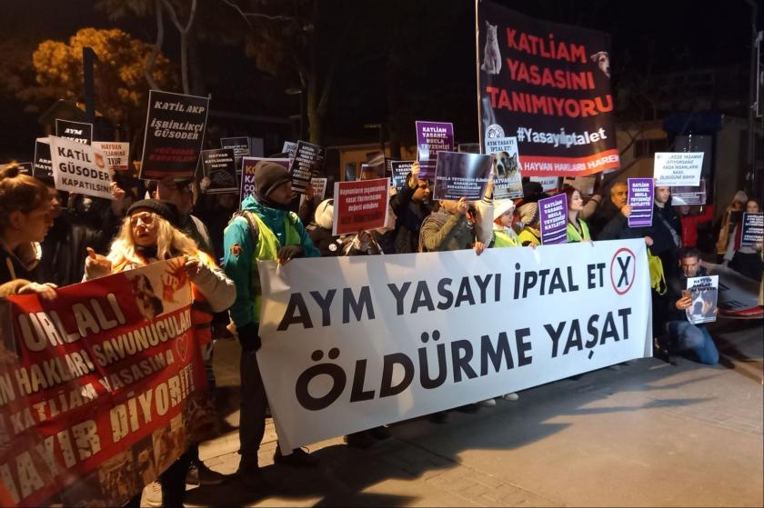 Katliam Yasası, AYM kararı ve adaletin iflası