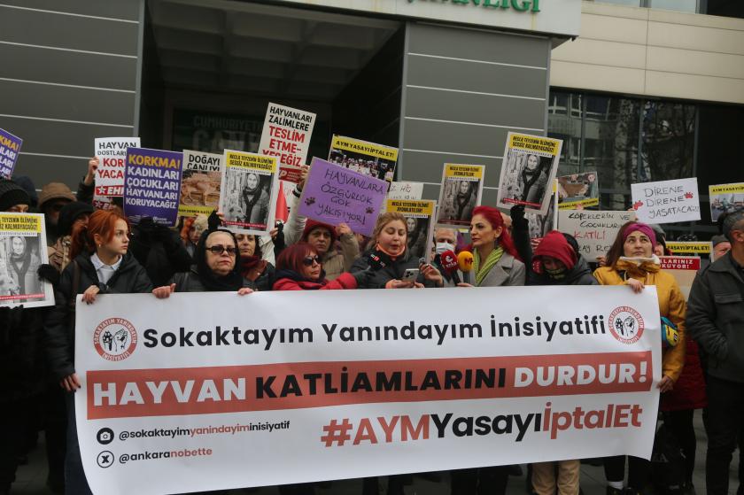 ​​​​​​​AYM sokak hayvanları yasasını 7 Mayıs’ta esastan görüşecek