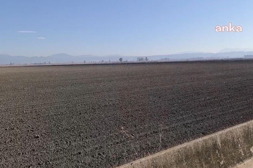 Tarlasını sulayamayan Osmaniyeli çiftçi: İki güne kadar sulayamazsak aç kalırız