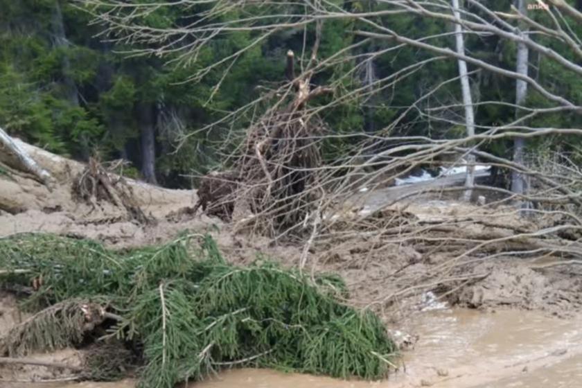 Artvin'in Tosunlu Köyünde heyelan yolu kapattı