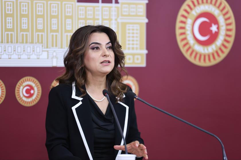 Gülistan Kılıç Koçyiğit: Erdoğan görüşmesinde sürecin tıkanan yönleri ele alındı
