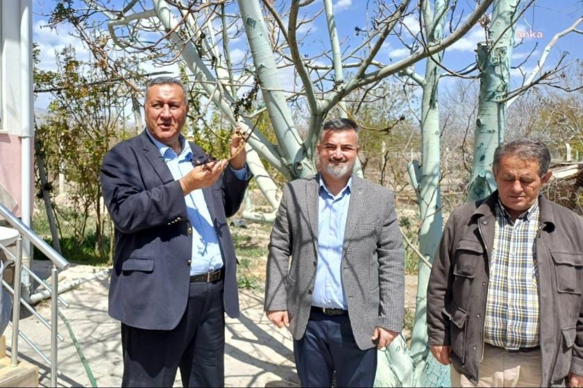 Zirai don etkisi | CHP'li Gürer: Üreticilerin tüm zararları karşılanmalı