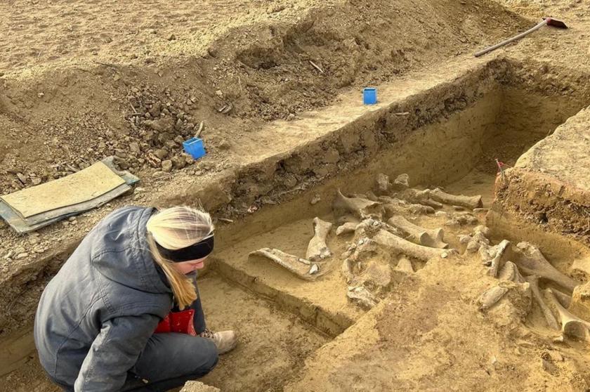 Buzul çağında avlanmak: Aşağı Avusturya’da 25.000 yıllık mamut kemiği alanı keşfedildi
