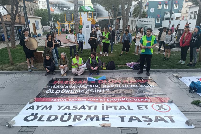Hayvan hakları savunucuları yasanın AYM'de görüşülmesi öncesi yaşam nöbetinde