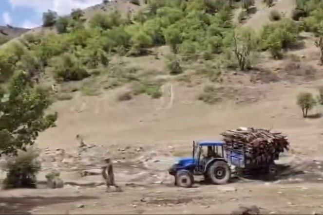 Besta'da ormanlık alanda ağaç kesimi başladı
