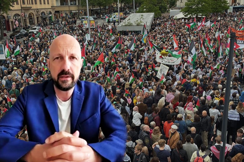 EU Parliament Member Botenga: "Europe is arming itself for the U.S., selling weapons to Israel"