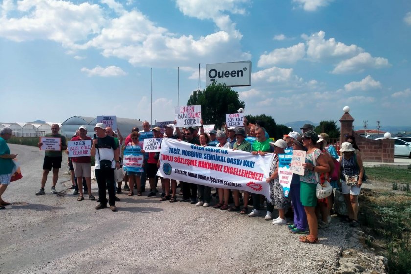 Quenn Tarım işçileri sendikal hakları için direniyor: Baskılar protesto edildi