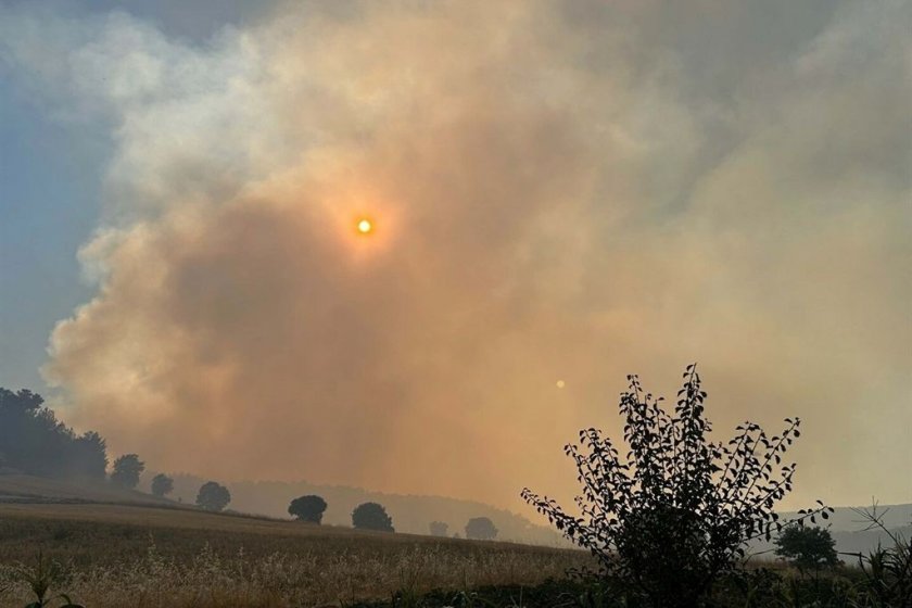 Uşak'ta tarım arazisinde çıkan yangın ormana sıçradı: Havadan ve karadan müdahale sürüyor