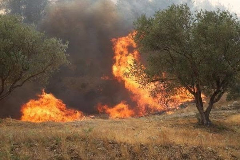 Manisa’da orman yangınlarına 2 gözaltı: Biri kaynak, diğeri bahçe temizliği nedeniyle