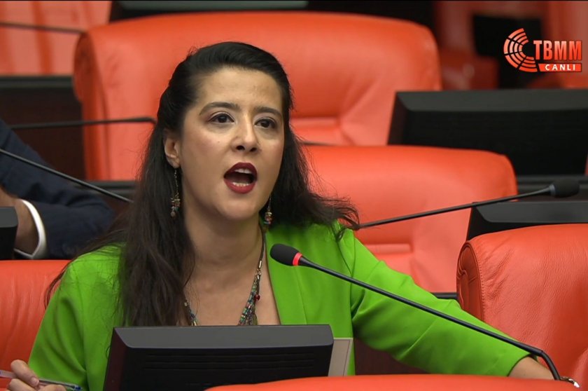 Sevda Karaca: "İşçileri şirketlere köle yapıyor, köylülerle karşı karşıya getiriyorsunuz"