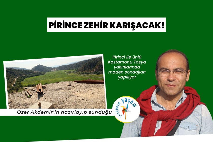Pirince zehir karışacak! | Çepeçevre Yaşam