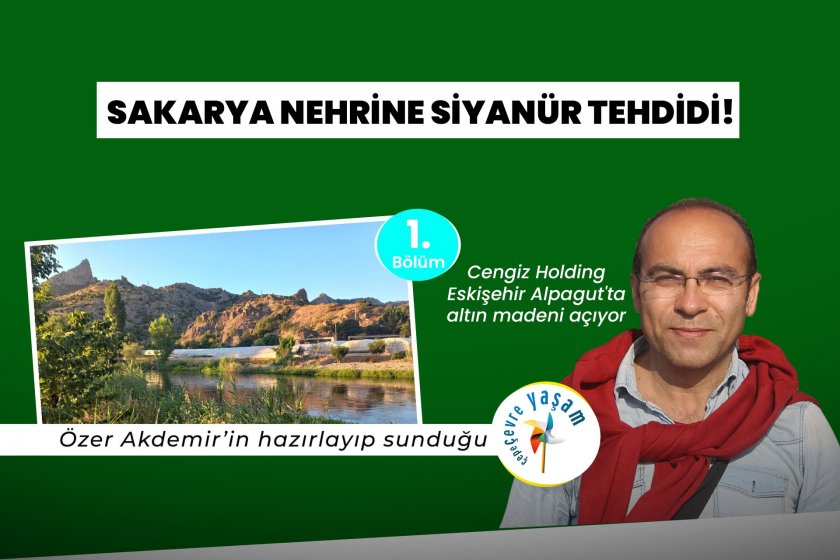 Sakarya Nehri'ne siyanür tehdidi! | Çepeçevre Yaşam