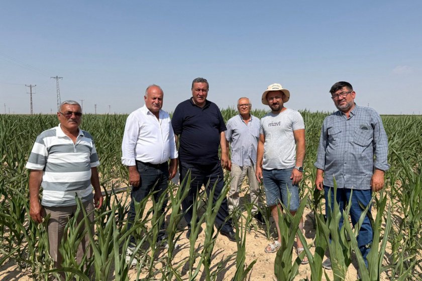 CHP Milletvekili Ömer Fethi Gürer: İthalat değil, üretim desteklenmelidir