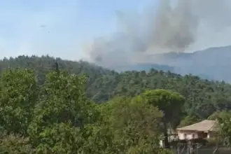 Çankırı'da çıkan orman yangınına müdahale sürüyor