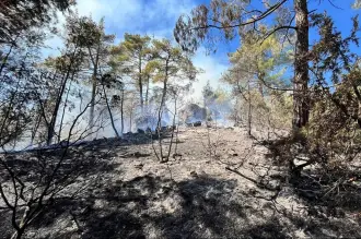İstanbul'da Arnavutköy'de ormanda yangın çıktı: Müdahale sürüyor