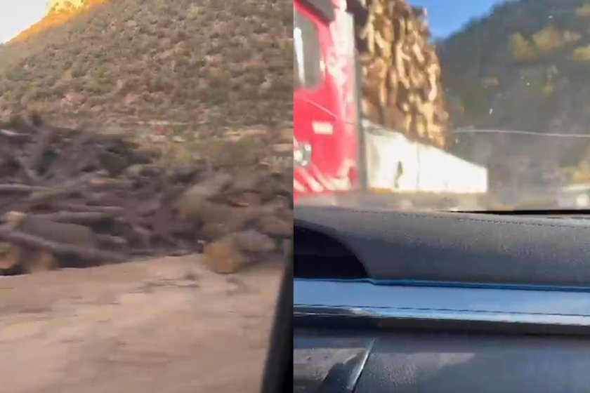 Gabar’da asker gözetiminde ağaç kıyımı: Vali, “Şırnak'ta artık ağaç kesilmeyecek” demişti