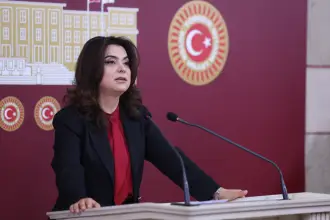 DEM Partili Koçyiğit, sosyal medyadaki hesap kimlik numaralarını Meclis gündemine taşıdı