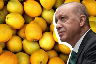 Çiftçiye yeni darbe: Türkiye limon ithal edecek