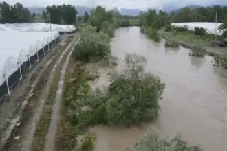 Amasya'da su taşkınları: Seralar ve tarım arazileri zarar gördü