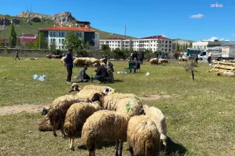 Yüksek maliyet besiciyi, düşük alım gücü yurttaşları vurdu: Ne alan memnun ne de satan
