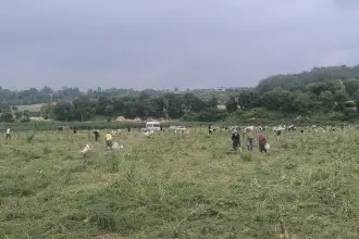Ürettiği soğanı satamayan çiftçi tarlasını yurttaşa açtı