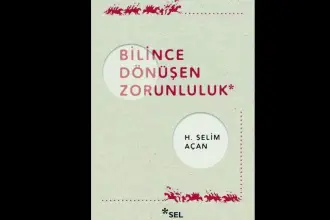 Sovyet deneyimine serinkanlı bir bakış