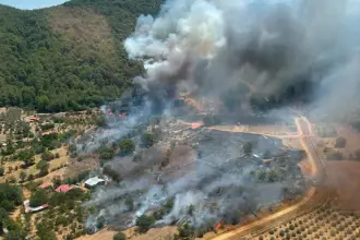 Muğla, Aydın, Antalya, Afyon: 4 ilde orman yangını
