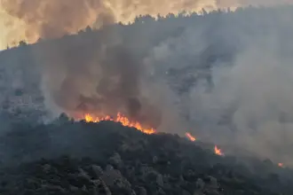 Antalya Kaş'taki orman yangını ikinci gününde: Havadan ve karadan müdahale sürüyor