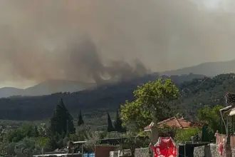 Çanakkale'de orman yangını