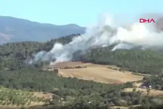 Çanakkale'de, Bayramiç'te de orman yangını çıktı