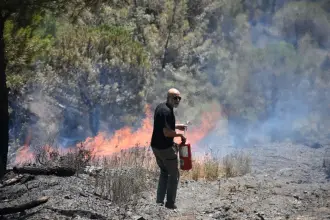 Bakan Gürlek açıkladı: Orman yangınlarıyla ilgili 29 şüpheliden 6'sı tutuklandı